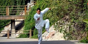 Faire du kung-fu dans le jardin