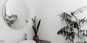 Comment mettre en valeur les murs blancs de sa salle de bain ?