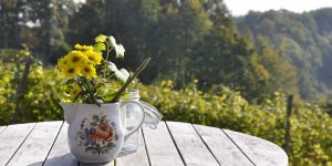 Comment bien choisir sa table de jardin?